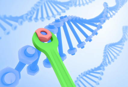 Epigenetica e riparazione del DNA